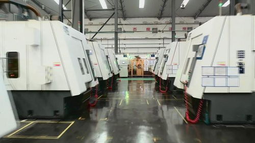 視頻丨乳山 一攬子政策提振企業信心 助推經濟高質量發展